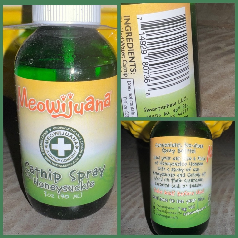 Catnip Spray with Honeysuckle - Green